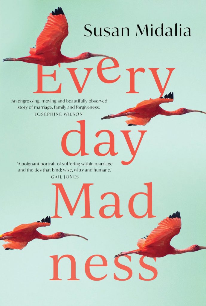 Everyday Madness book cover